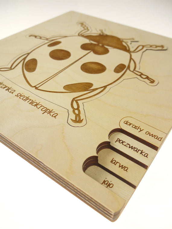 Stuka Puka Puzzle cycle de vie de la coccinelle - Puzzle en bois scientifique Stuka Puka -  pédagogie Montessori - jeux éducatifs en bois - Puzzle éducatif en bois