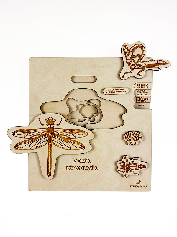 Stuka Puka Puzzle cycle de vie de la libellule - Puzzle en bois scientifique -  pédagogie Montessori - jeux éducatifs en bois - Puzzle éducatif en bois
